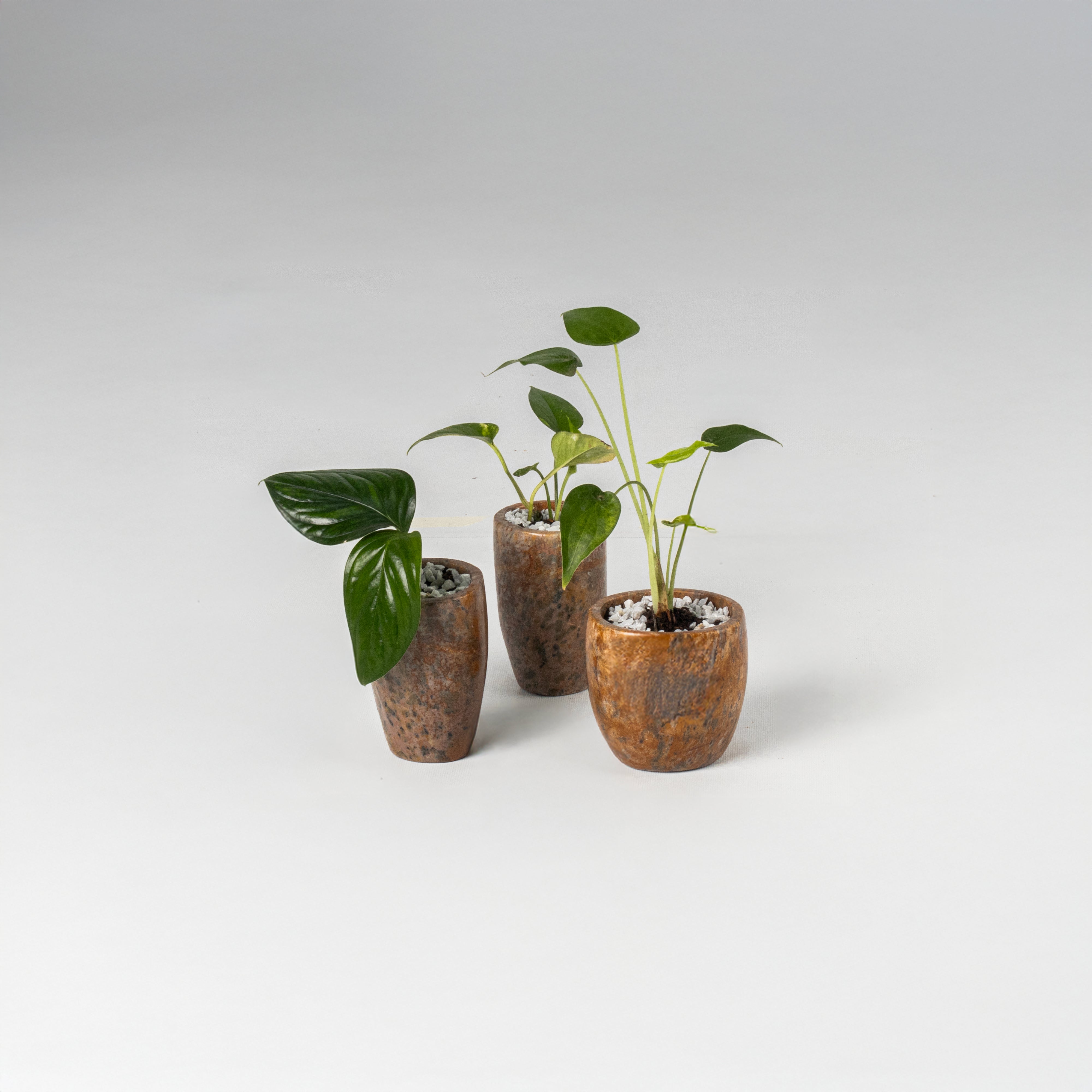 Maceta de mesa Piedra