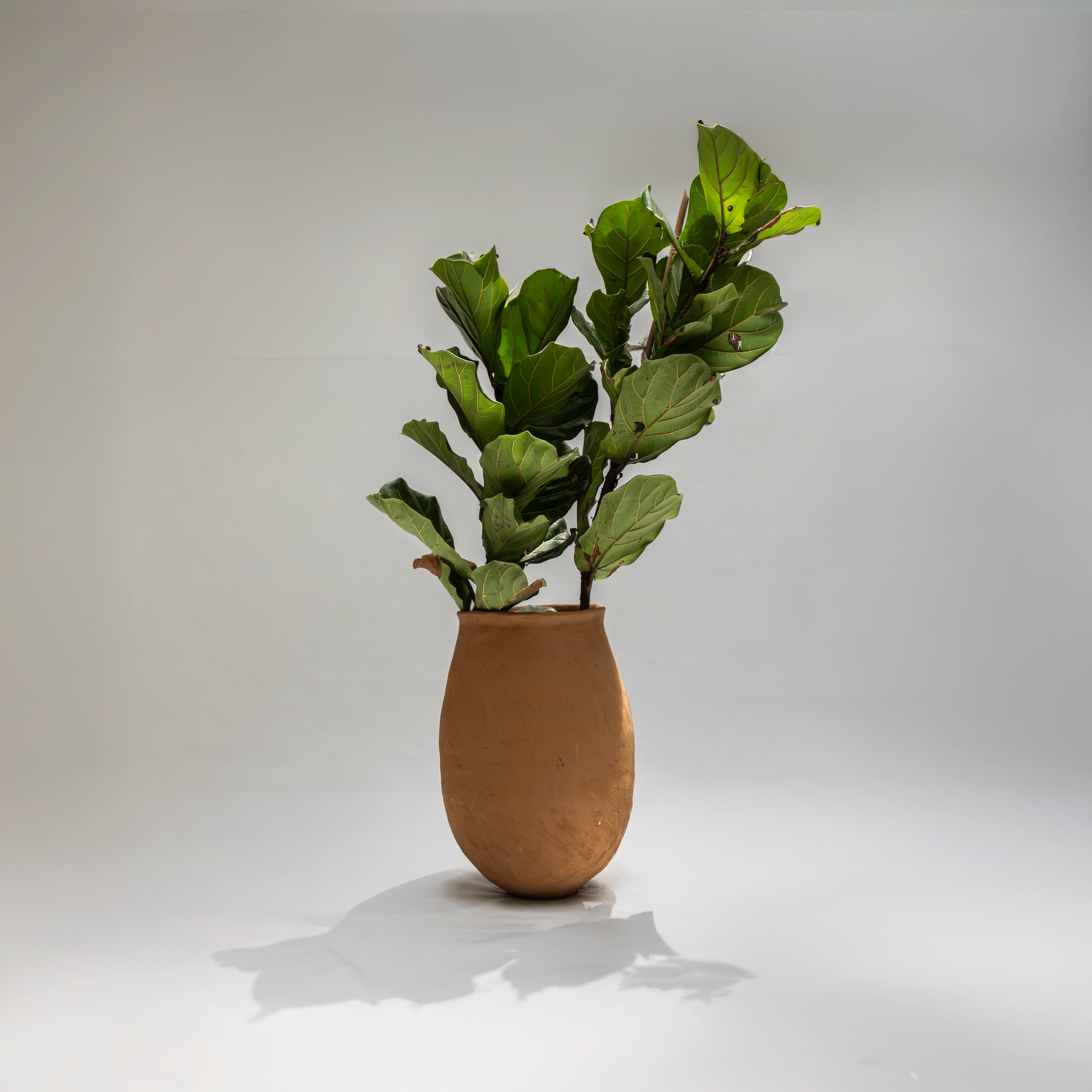 Maceta de piso Magdalena