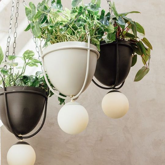 Lámpara de techo Madre Selva, con planta