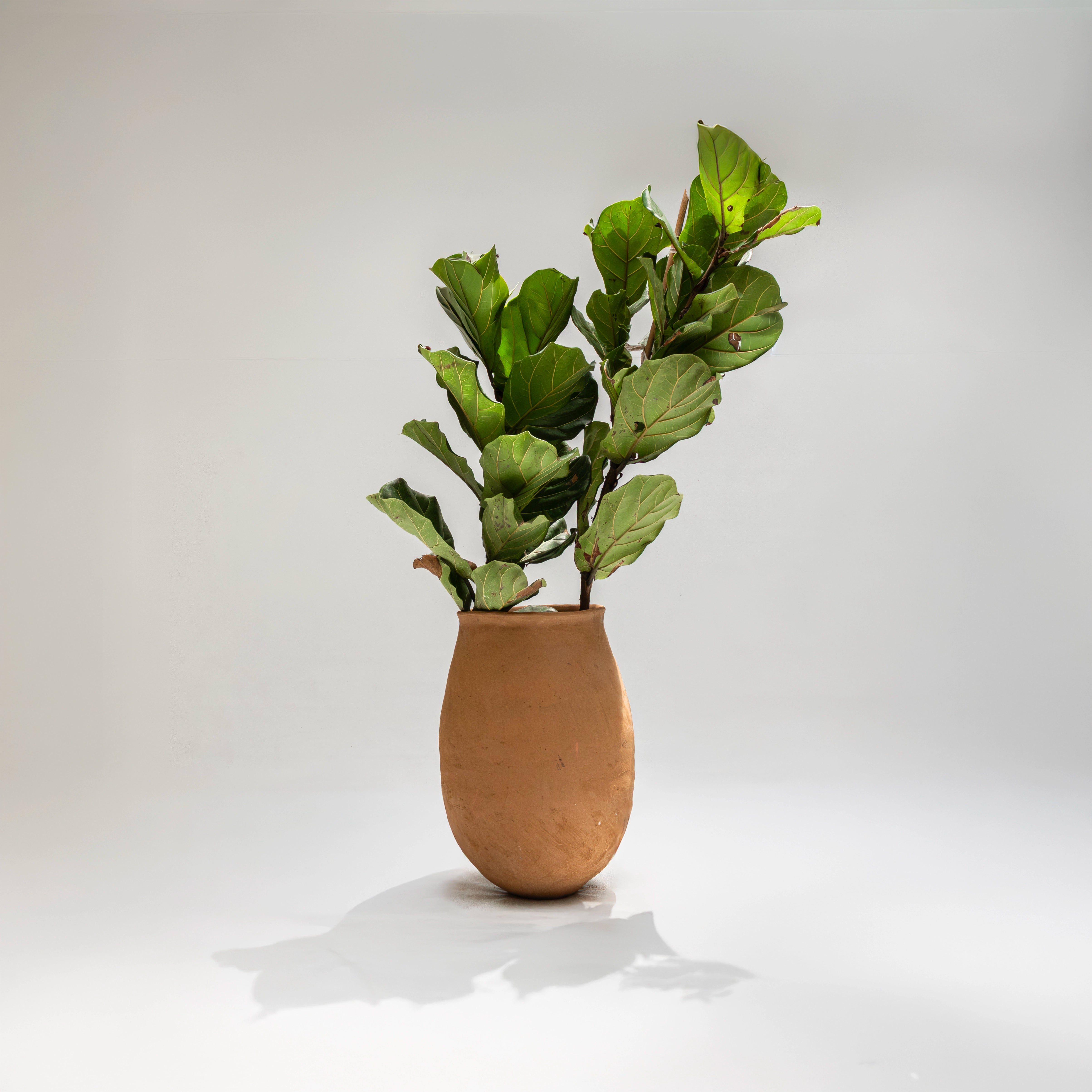 Maceta de piso Magdalena