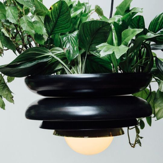 Lámpara de techo Oporto + planta