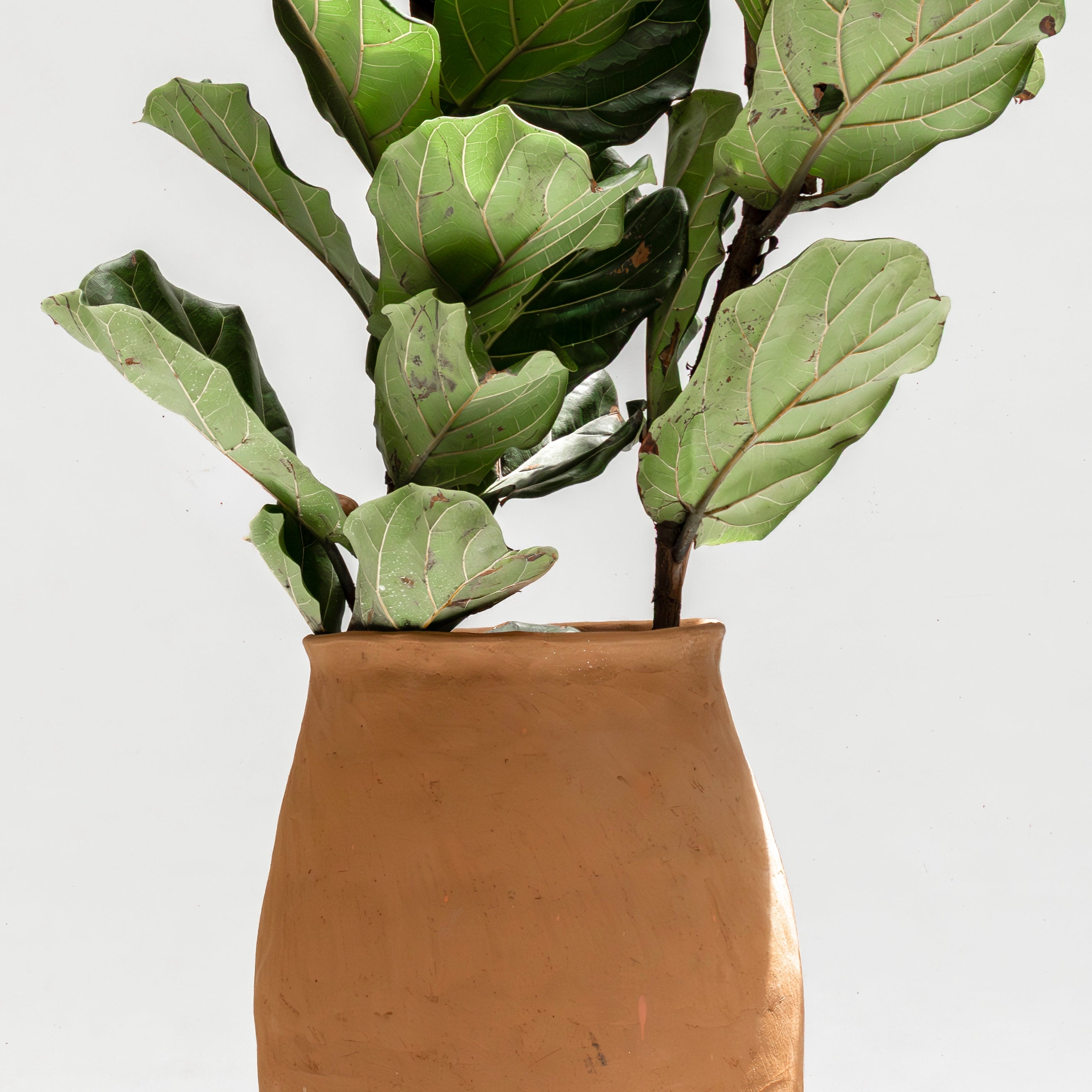 Maceta de piso Magdalena