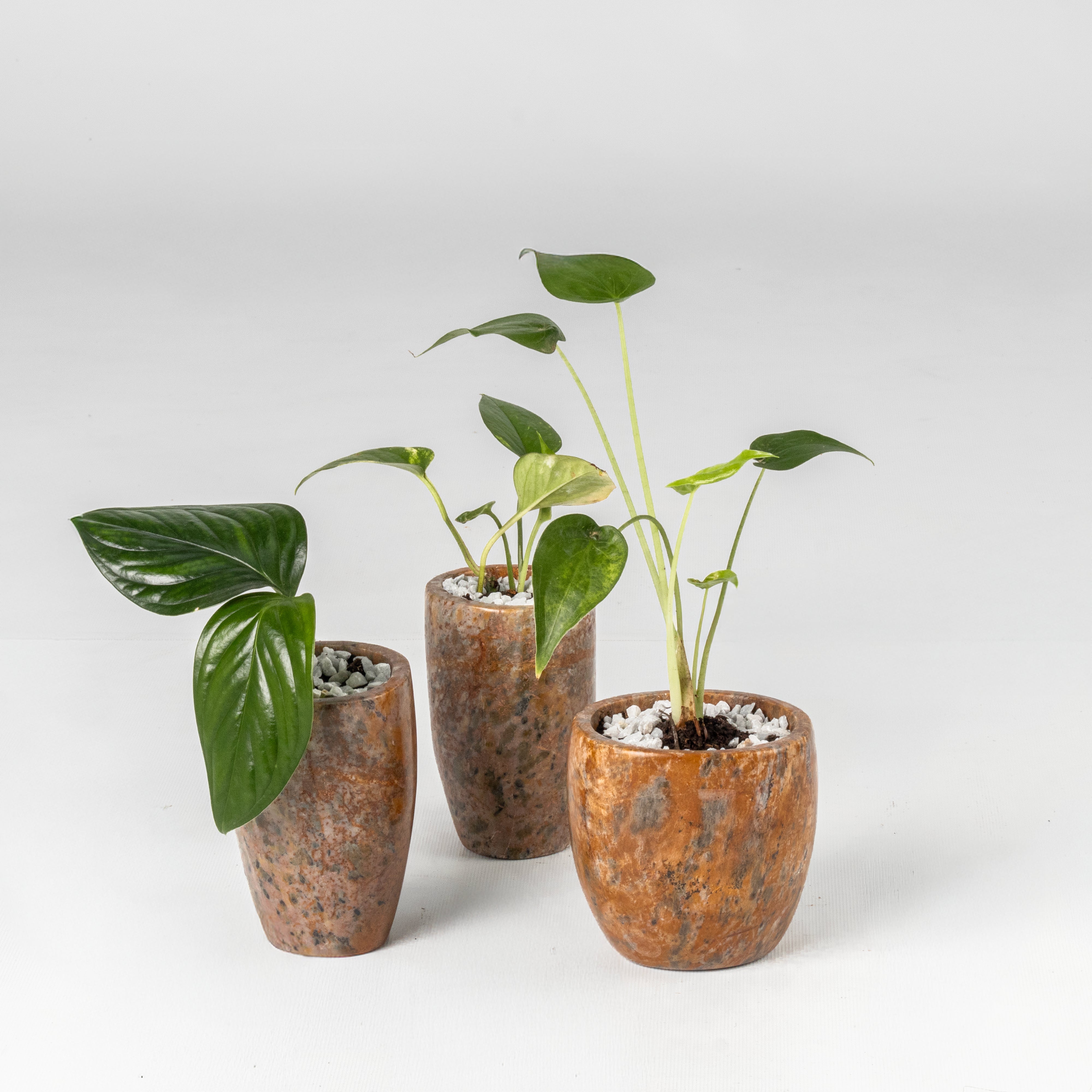 Maceta de mesa Piedra