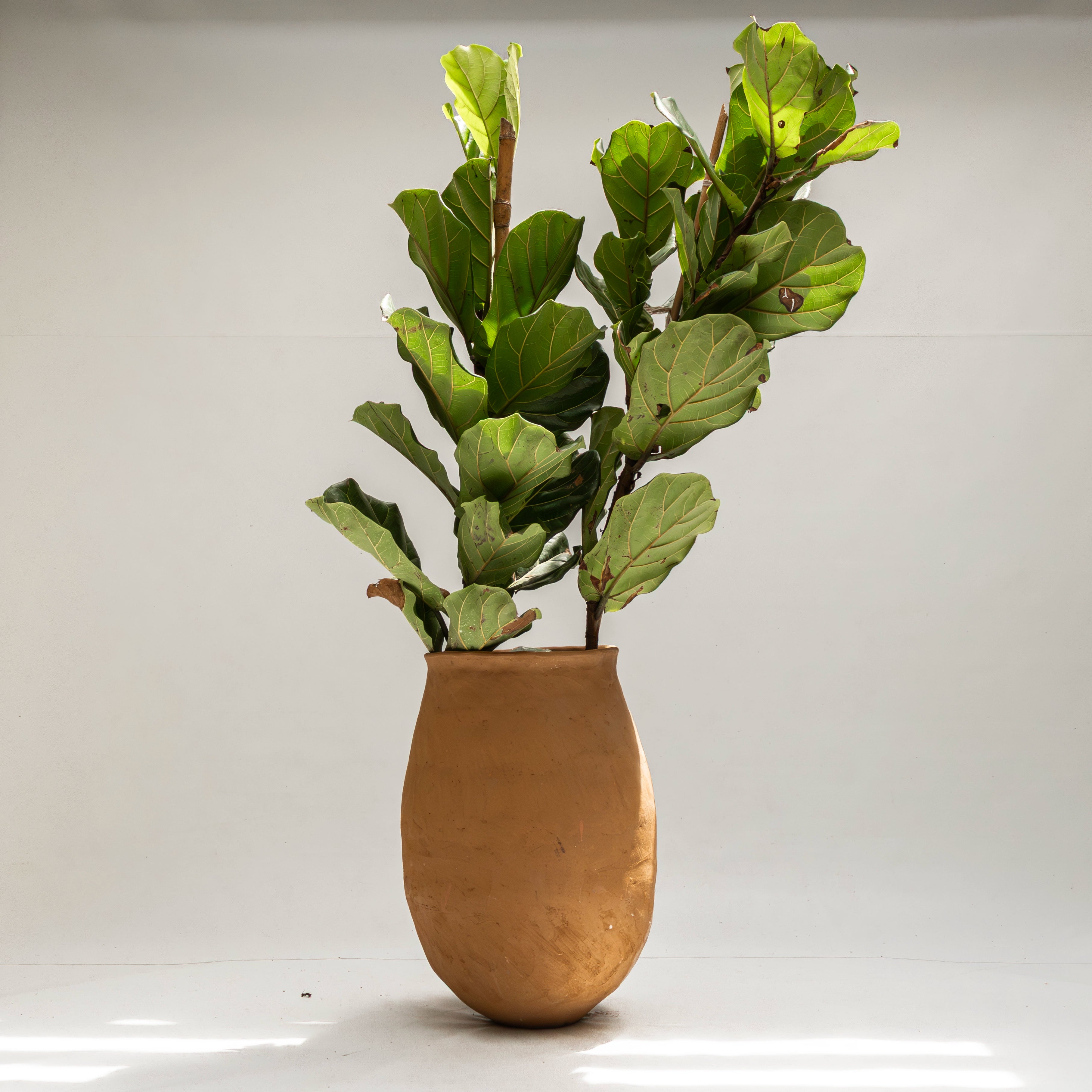 Maceta de piso Magdalena