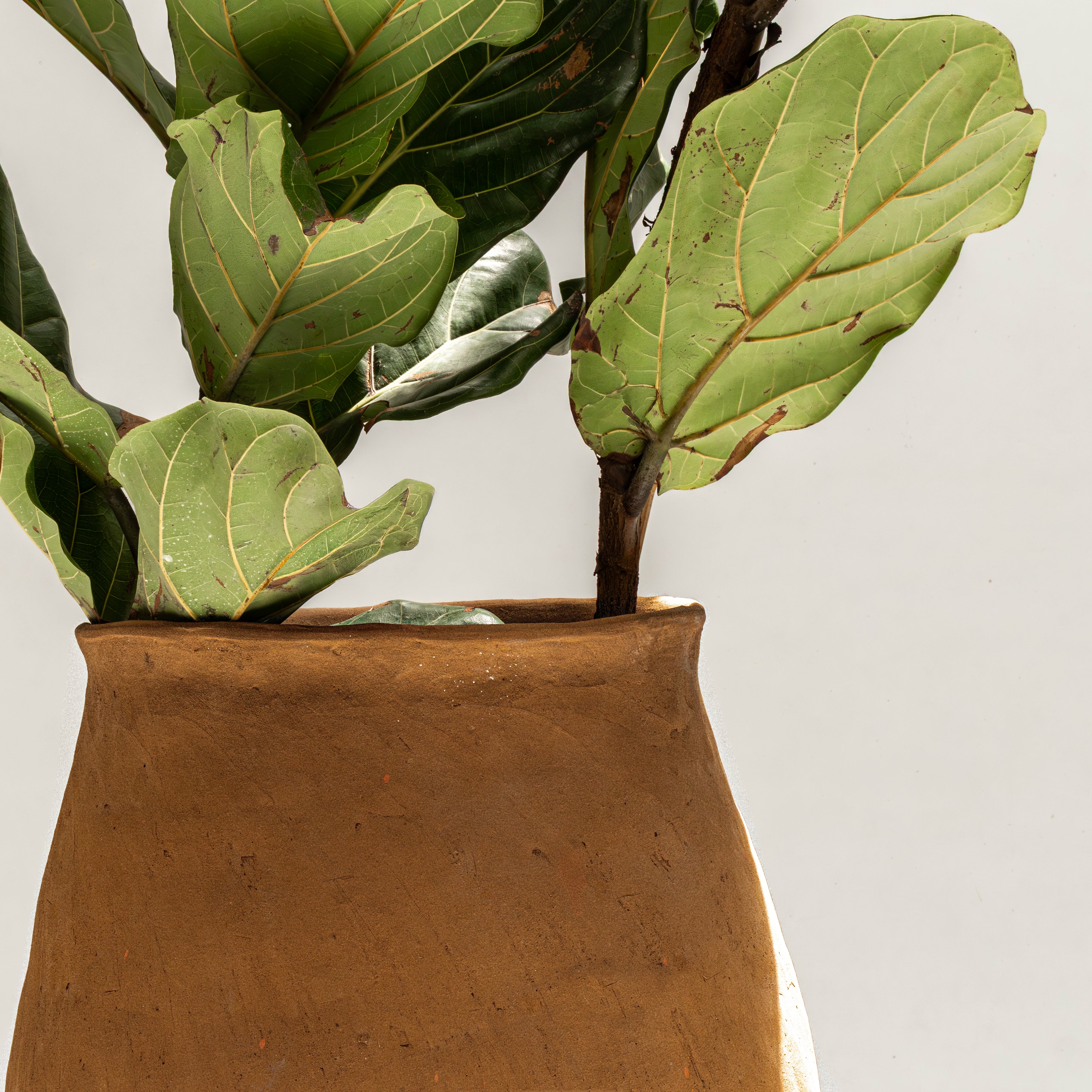 Maceta de piso Magdalena