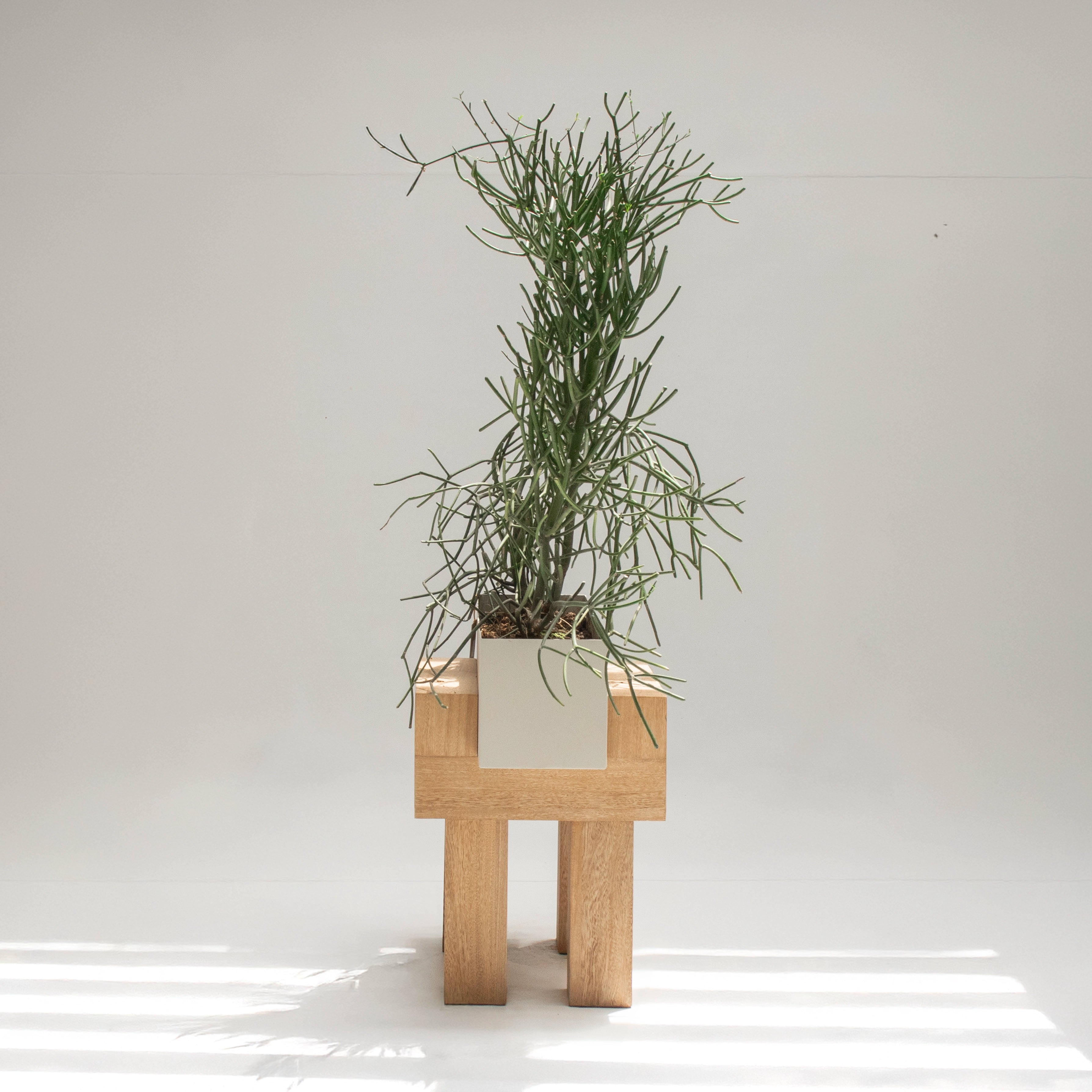 Maceta de piso Kioto