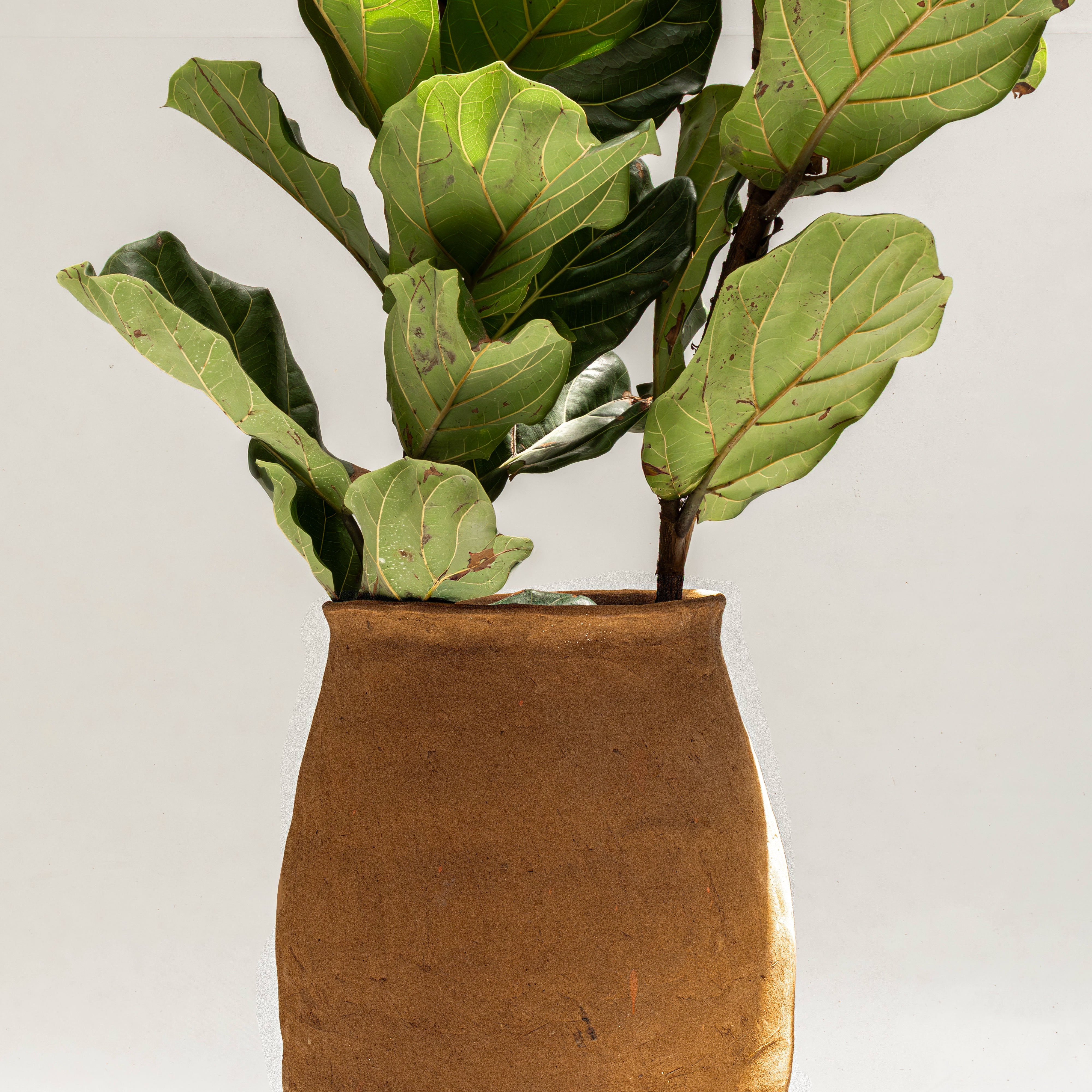 Maceta de piso Magdalena