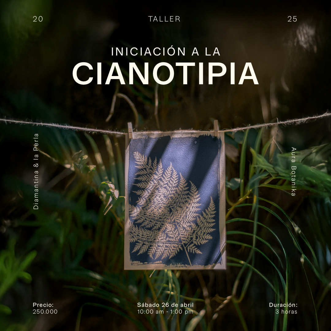 Taller – Iniciación a la cianotipia