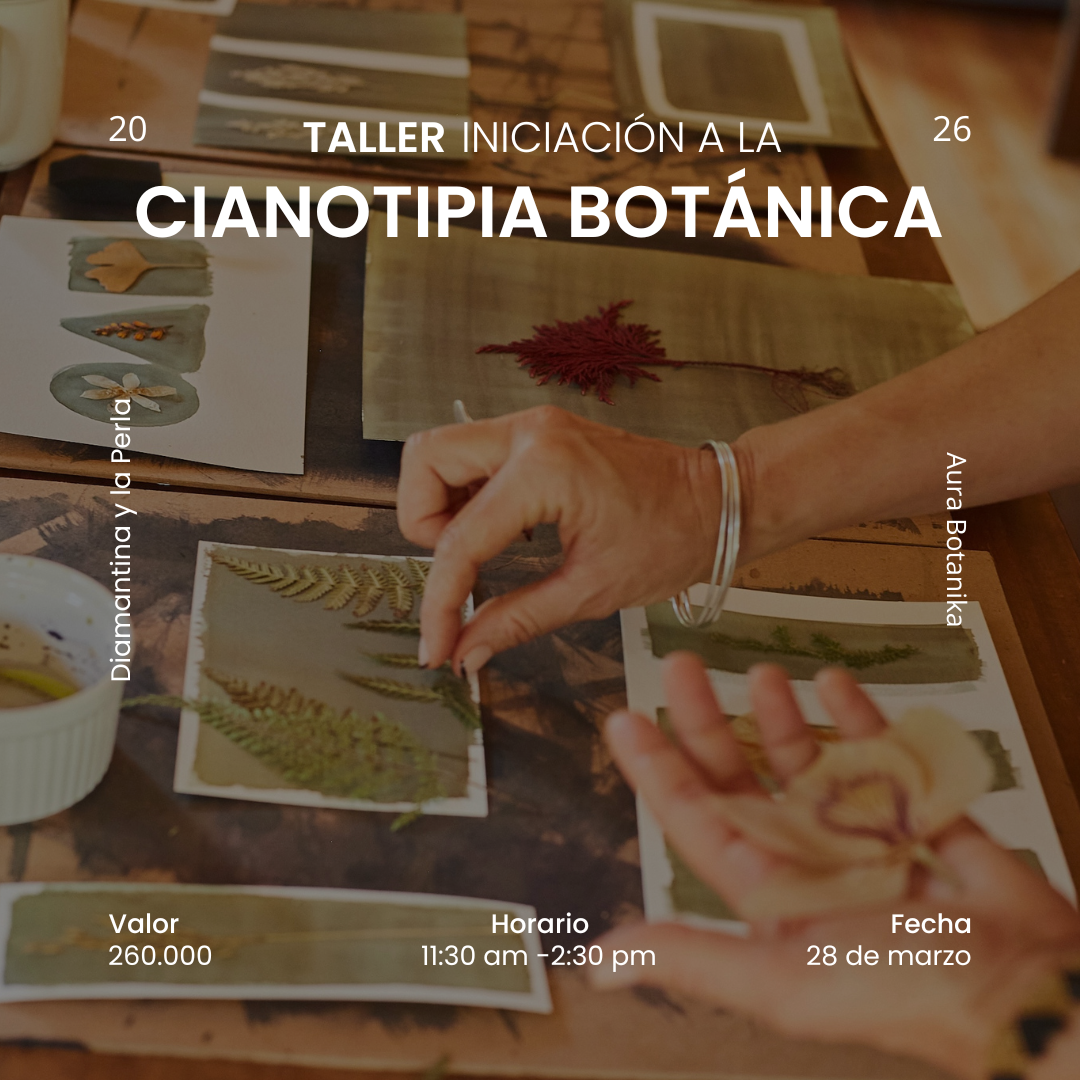 Taller – Iniciación a la cianotipia Sábado 28 Marzo