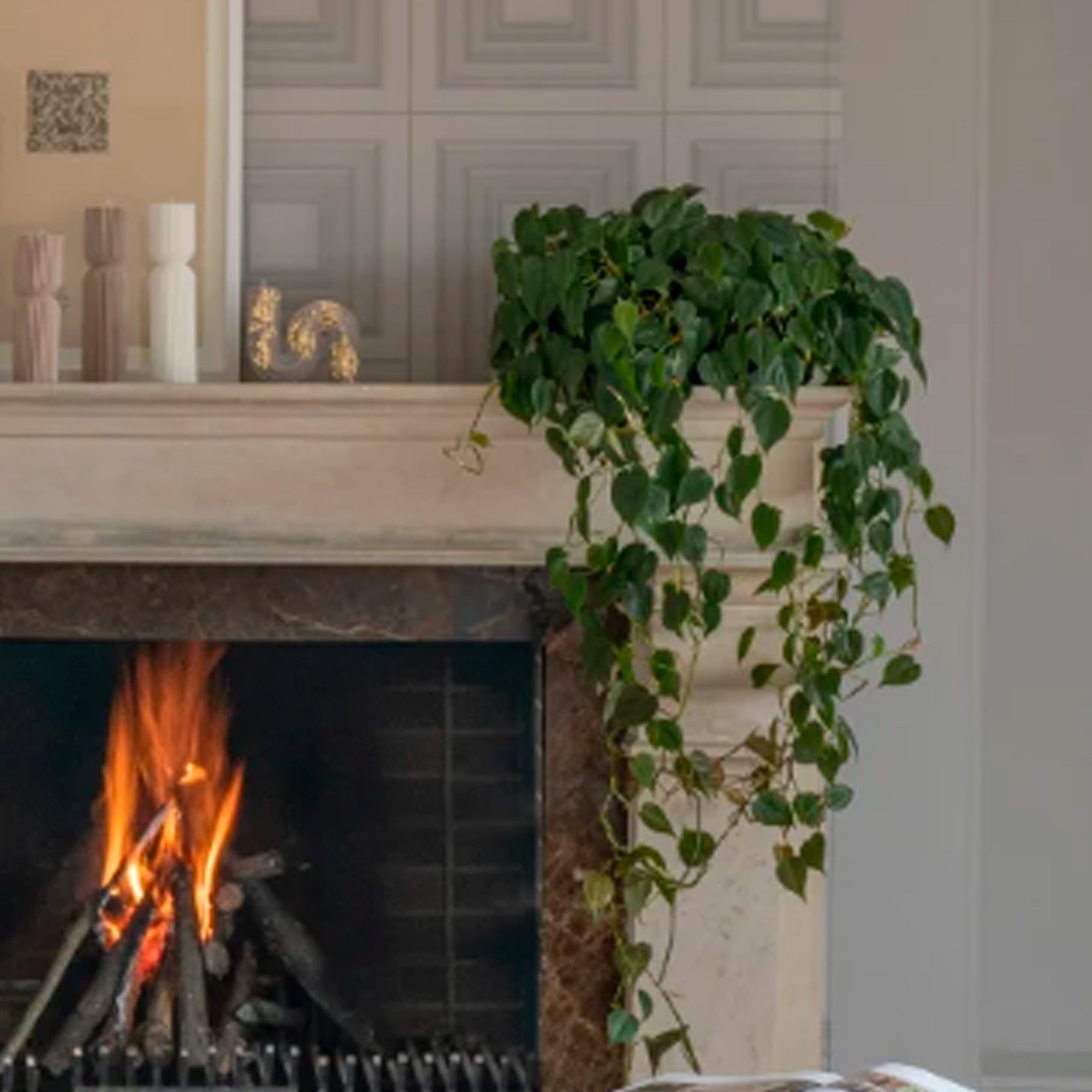 Piezas en Tendencia para tu Hogar