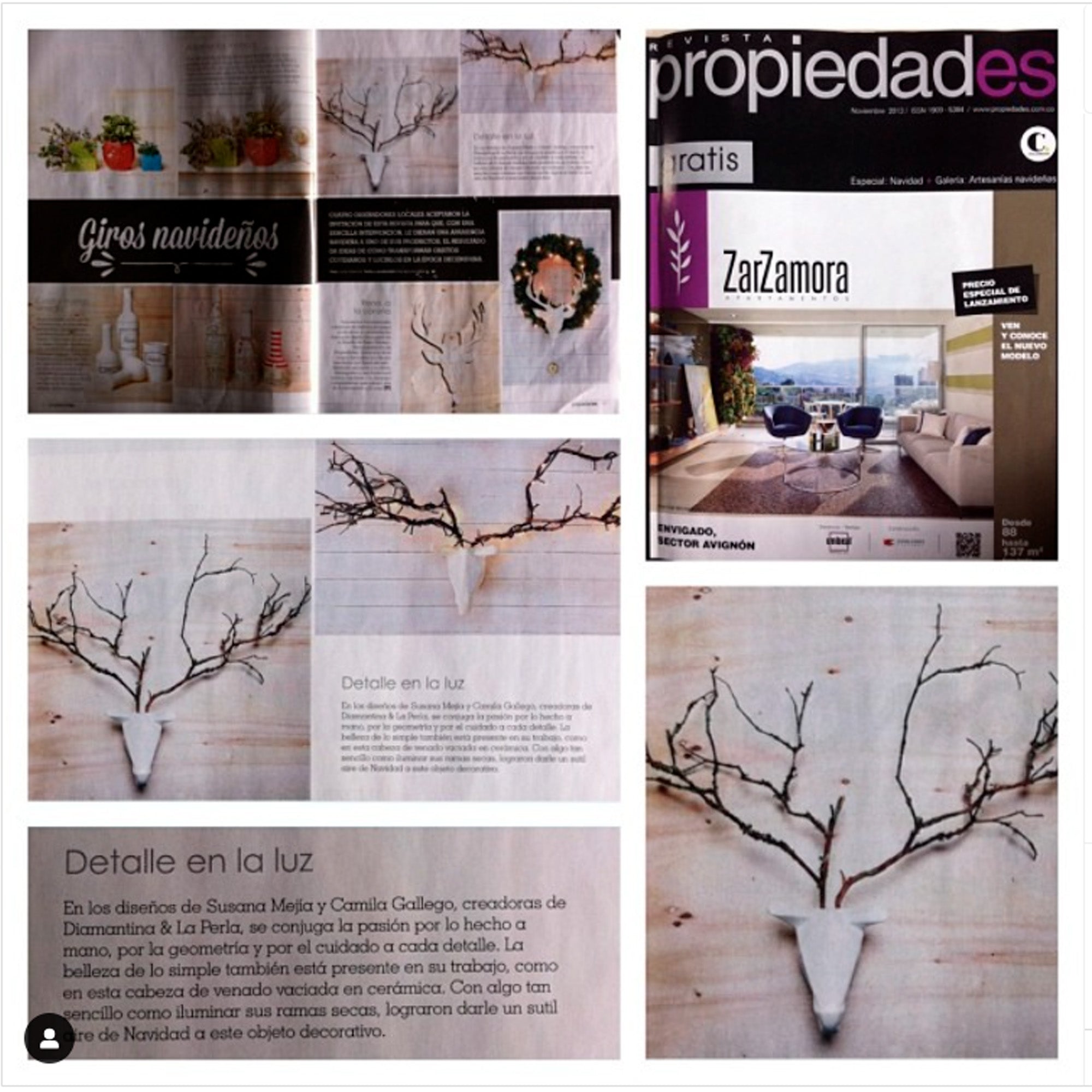Primera aparición en la revista Propiedades