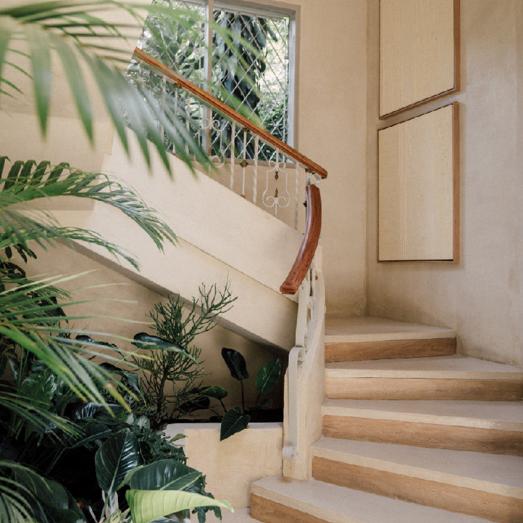 Casa Selva