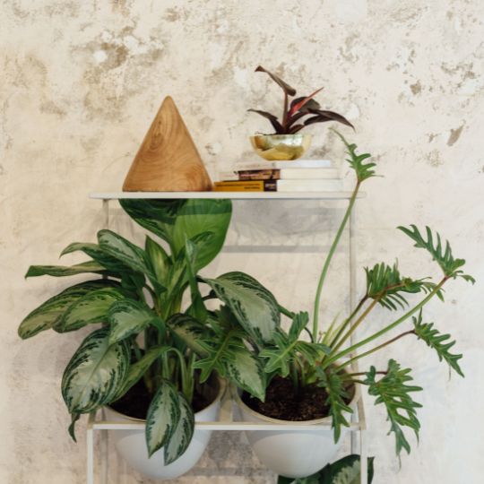 Jardín vertical Malasia