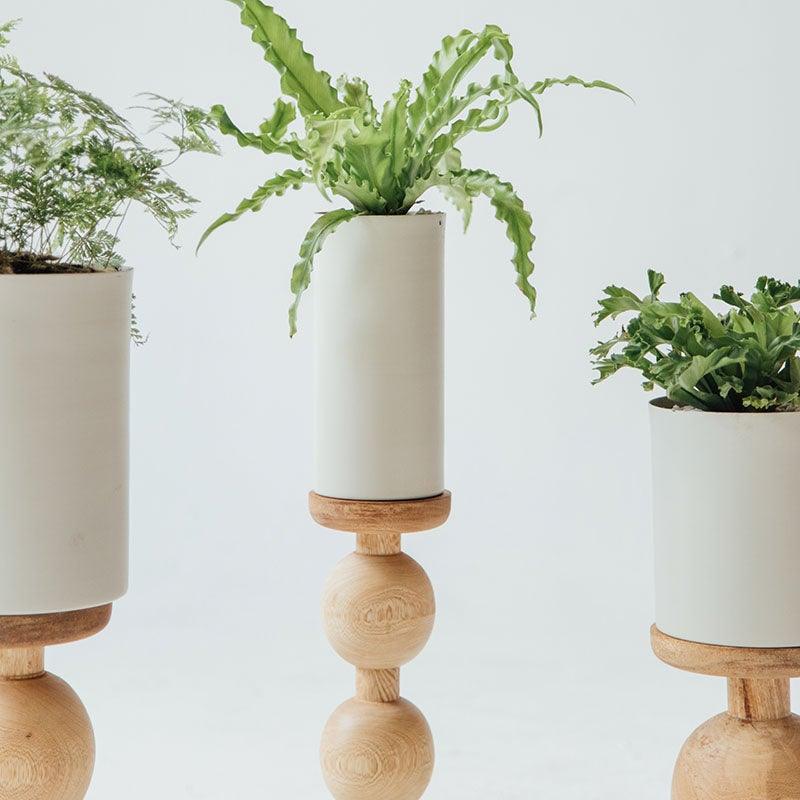 Candelabro Kogui