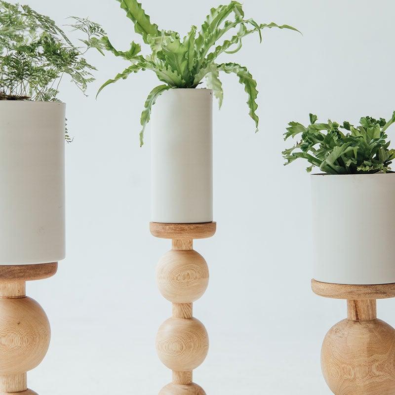 Candelabro Kogui