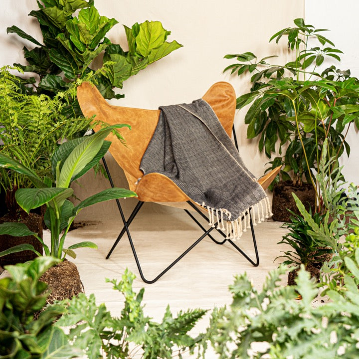 Silla Alhena