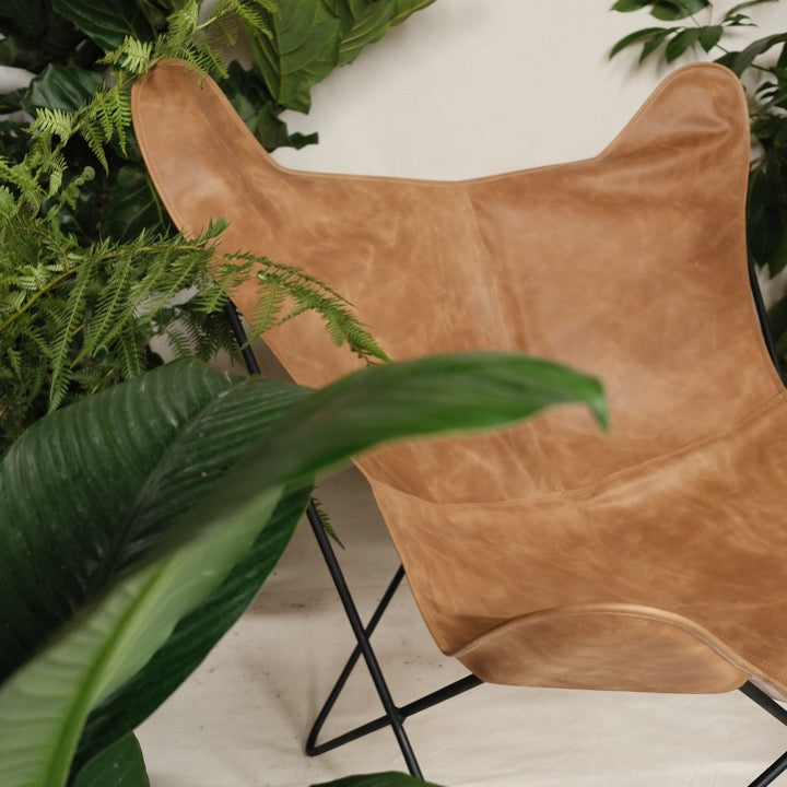 Silla Alhena