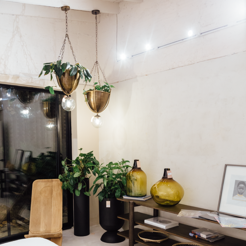 Lámpara de techo Madre Selva+Planta | Entrega Inmediata Medellín