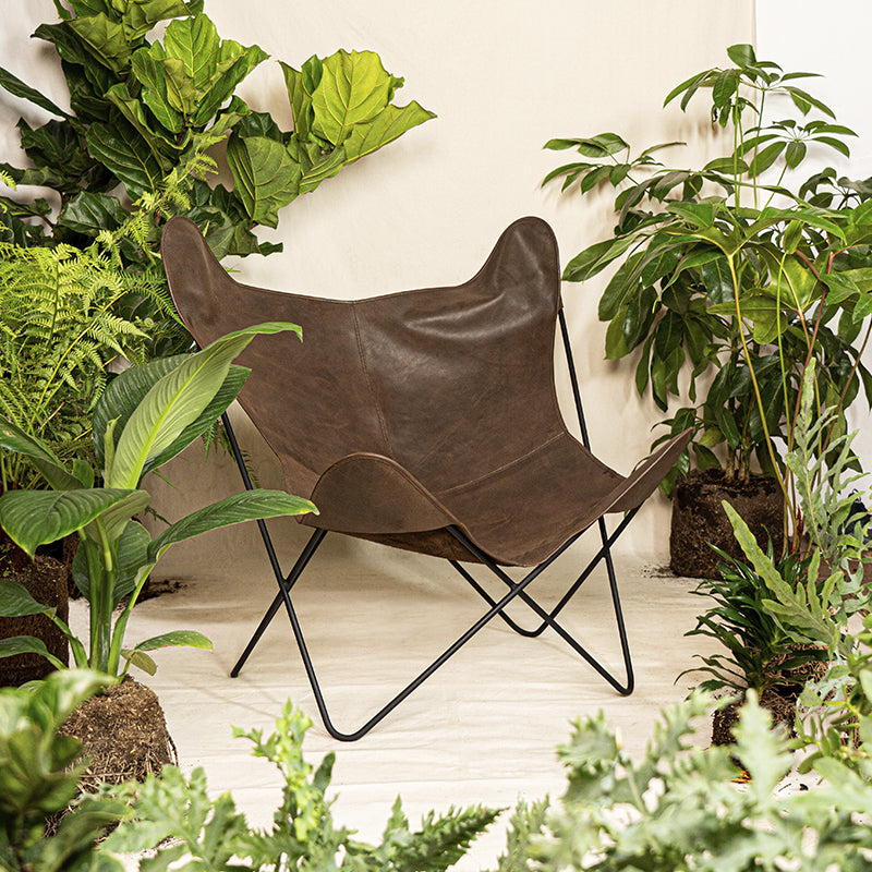 Silla Alhena