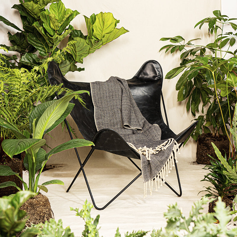 Silla Alhena