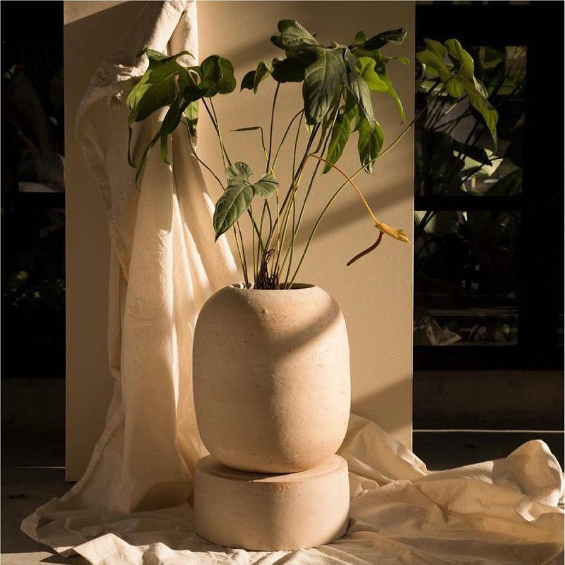 Bouli - Diamantina & la Perla